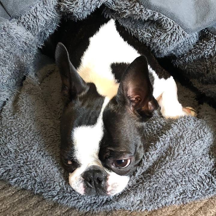 D3cde355 2be1 4a7b 8d86 f2133f53c47c 1551857747818