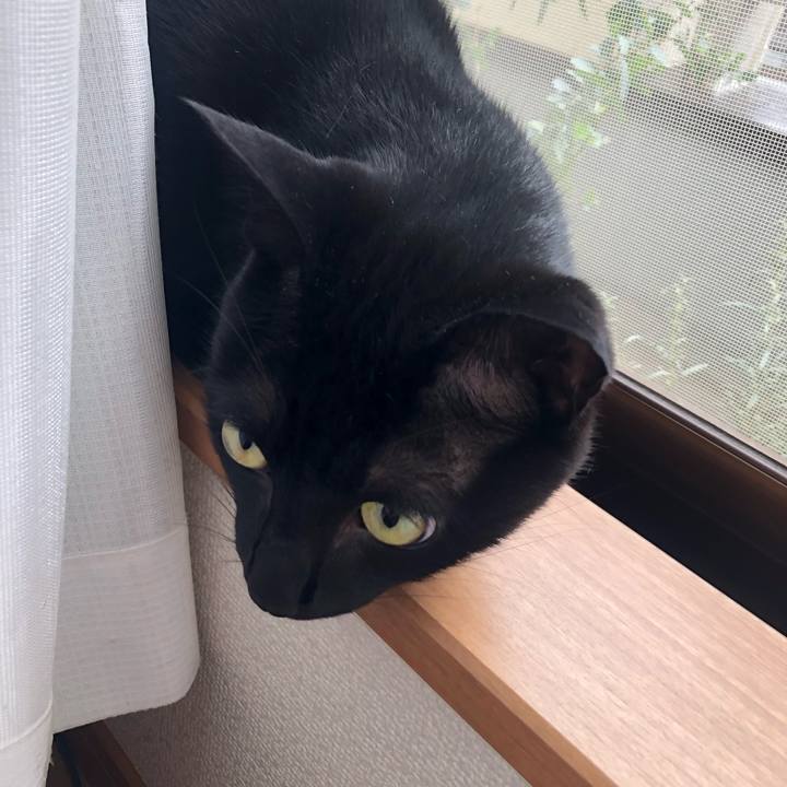 D3ce3e8b 8314 41d4 b098 7c8de6755649 1563679391983