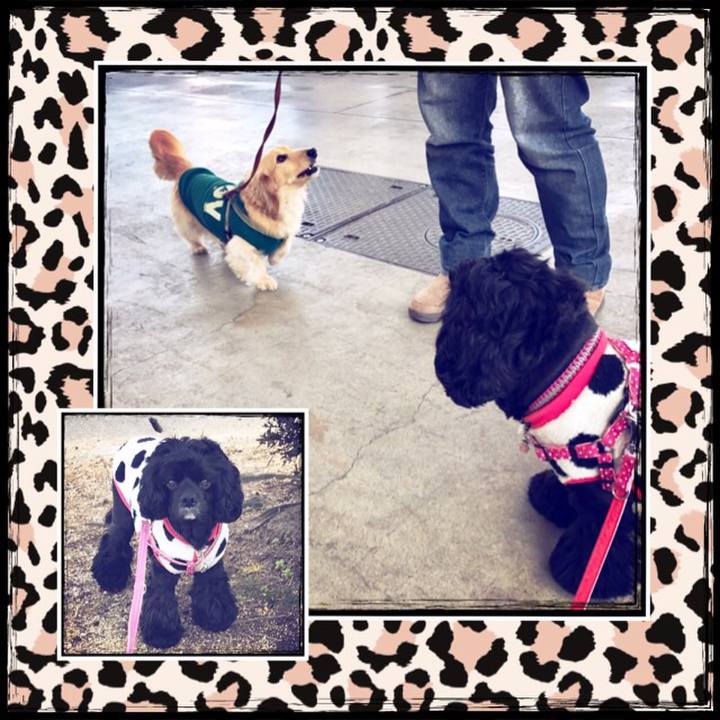 D3ce6de8 6006 4cf0 94fa e4e40349aa01 1520767545902