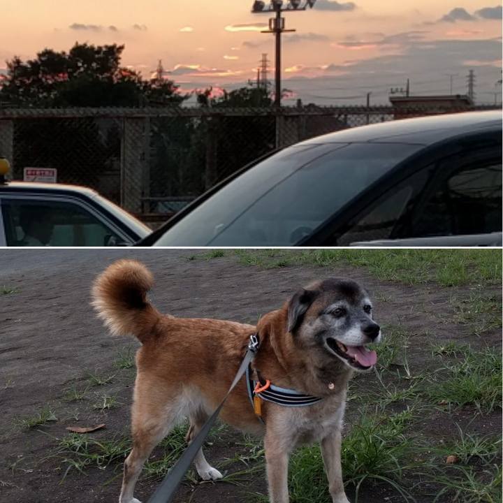 D3ce939c be02 45a7 bb18 fd09a40bae55 1533811251520