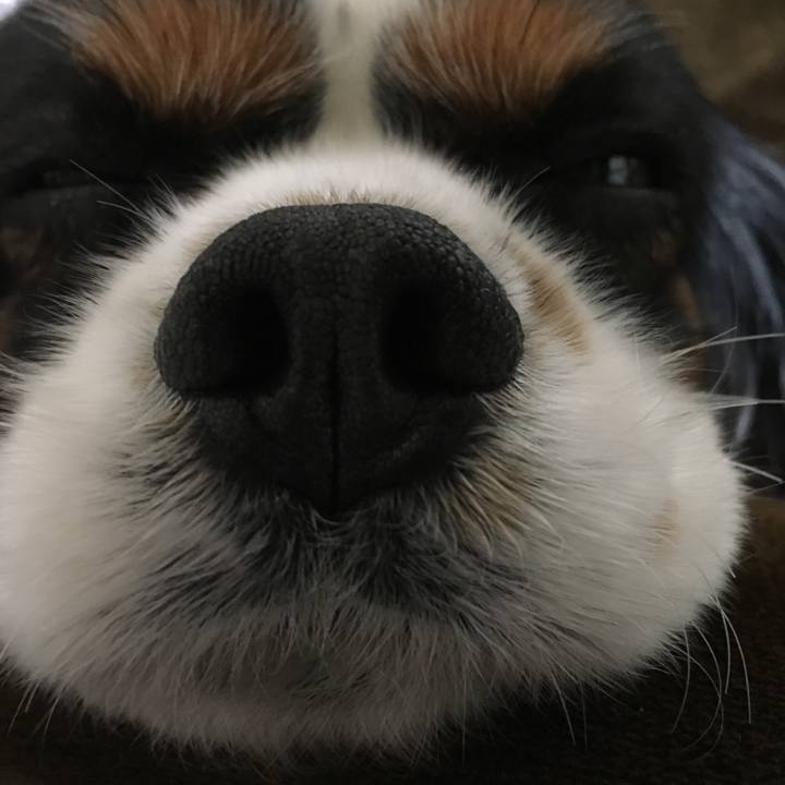 D3ce9ddc 9704 475a a5dd 3d1105c73074 1518855368025