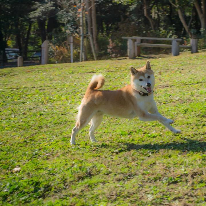 D3cef63d 22a0 4ce8 8a44 42723b3cb55d 1512443188408