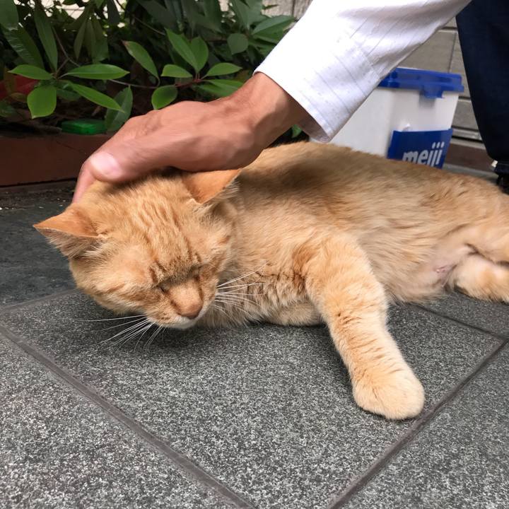 D3cef91d bb67 43d4 8949 defc0dbad7db 1525519384357