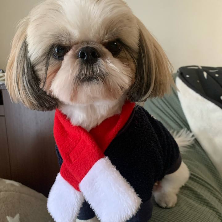 D3cf1ec1 bb9f 4fdd 8f46 afc34360dc35 1640421192620