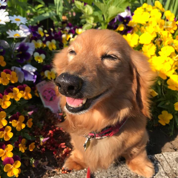 D3cf4738 0f0b 4835 91f9 cc612d1353ad 1588148953672