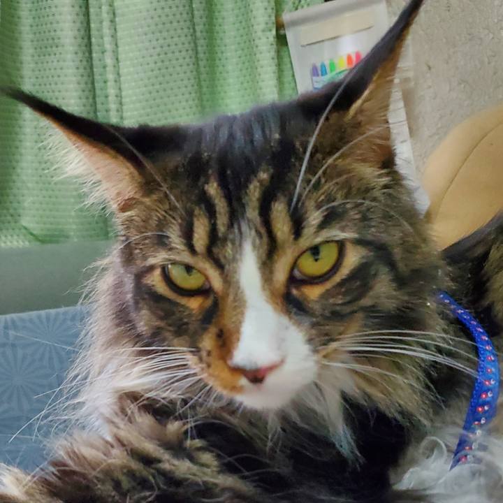 D3cf4b67 5964 43aa 9e4e c50c244b49c9 1691633798316