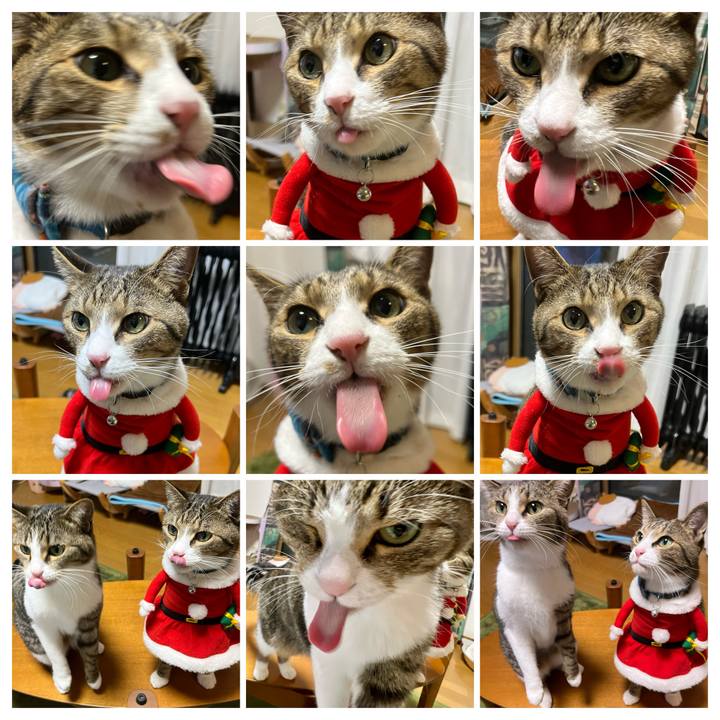 D3cf66a5 075d 493d af2a f82636b1c0bc 1735205911103