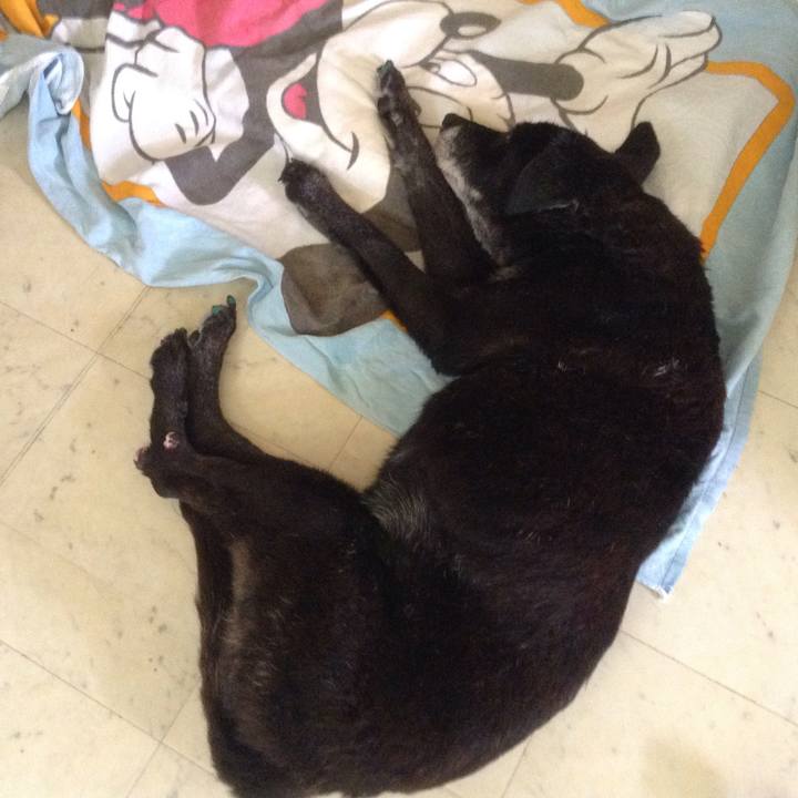 D3cf6b65 8322 4b69 b362 06d23a326ebc 1514614298827