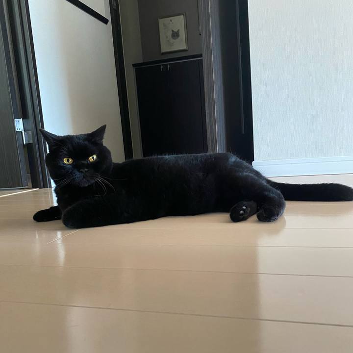 D3cf6d63 7b0a 4d79 b664 ca3abeb26636 1759016736798