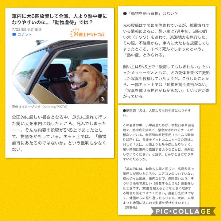 D3cfd9de 0aad 4d99 982e 0b8b05aa8b42 1532268899200