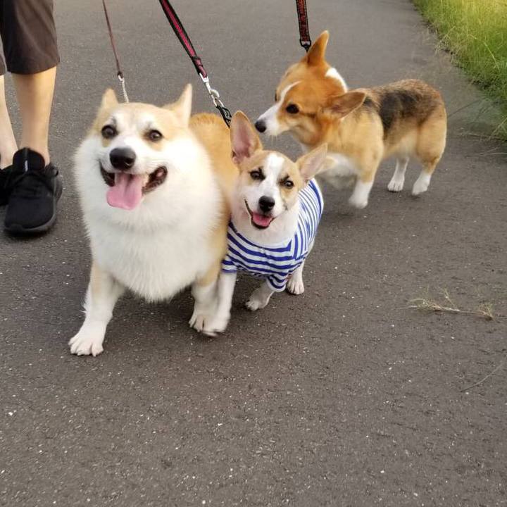 D3cfdea9 6b69 4f6f bed9 4964dde037e3 1563887907058