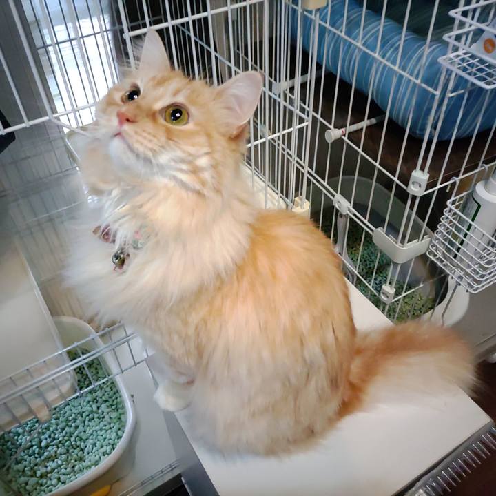 D3cfe5b8 2812 4b00 86a8 ef9ef7e0ab40 1685400747107