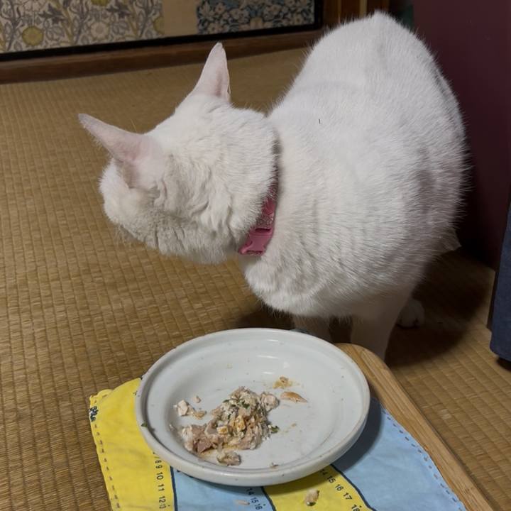 D3cff59d 072a 49b8 b86b 1adcdce44621 1772713961345