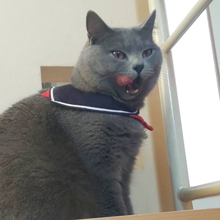 D3d00d43 d03b 4deb a2a6 a7dcdb768446 1543473089887