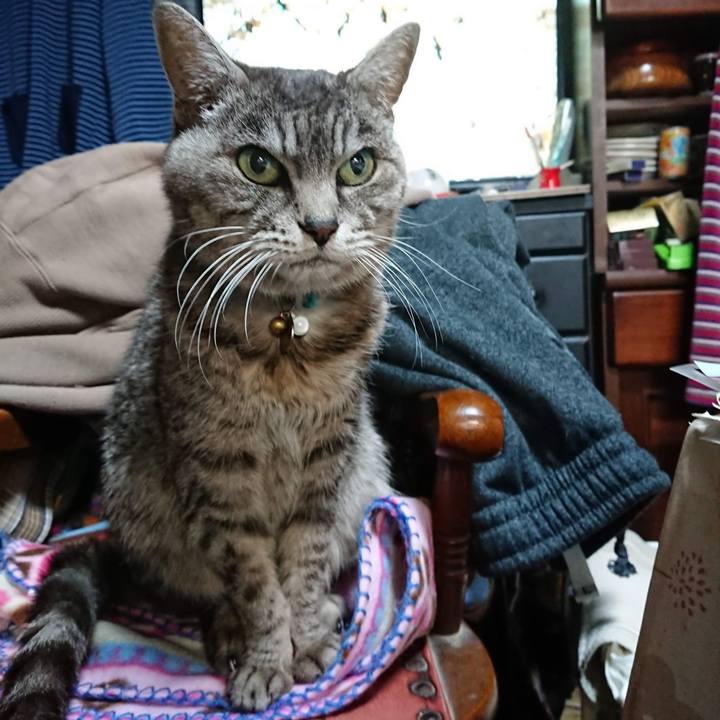 D3d05662 0c5b 407a b0c8 de32b89b0676 1606941181150