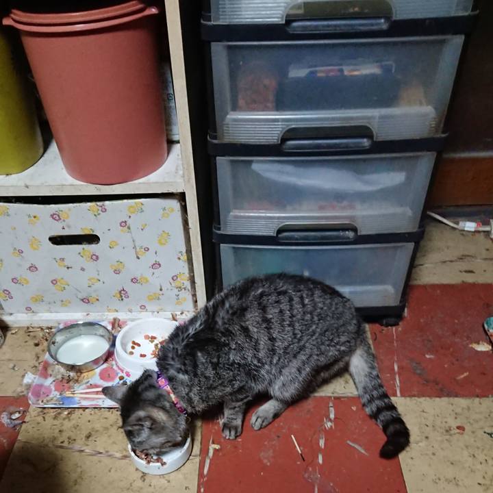 D3d0b640 460c 485d 8178 28e780002002 1581882532246