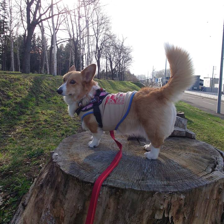 D3d0cba2 a8c9 4449 9bec 643d31123d55 1776383629107