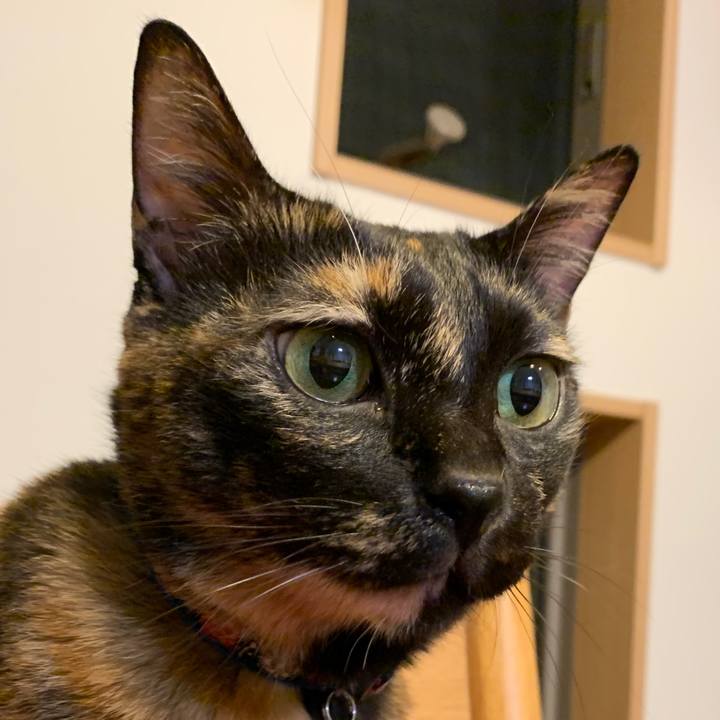 D3d0d84a ceb0 4dcf a786 1643761b7c67 1571618016974