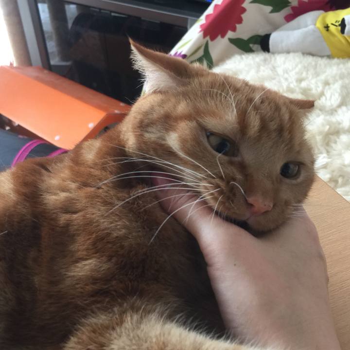 D3d1013a 894f 42fe 89eb 448f02a5cc55 1537057857932