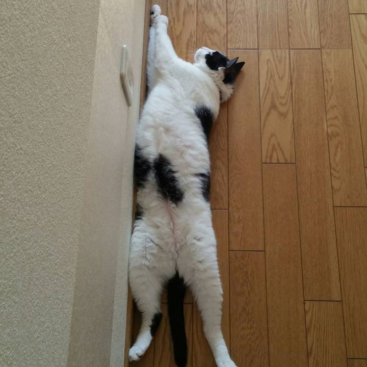 D3d136f4 4773 487f 9ad9 c98ed36fe576 1533087882067