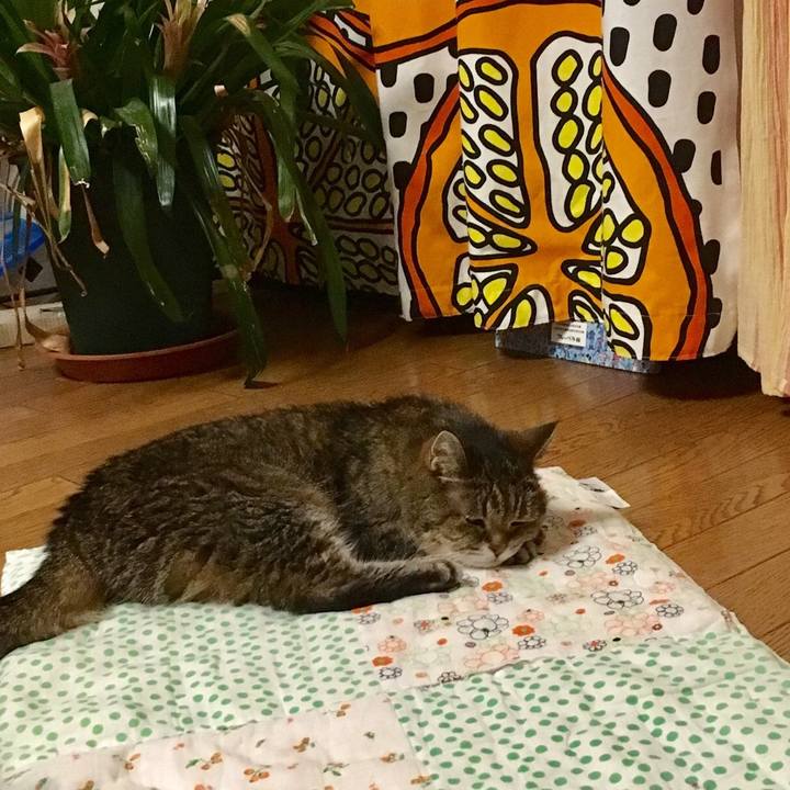 D3d13c10 ef3e 4b68 b272 e7b05f0e0c59 1532514853647