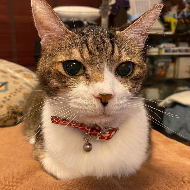 D3d18519 a835 4156 afd0 2545d588a03e 1577644246939