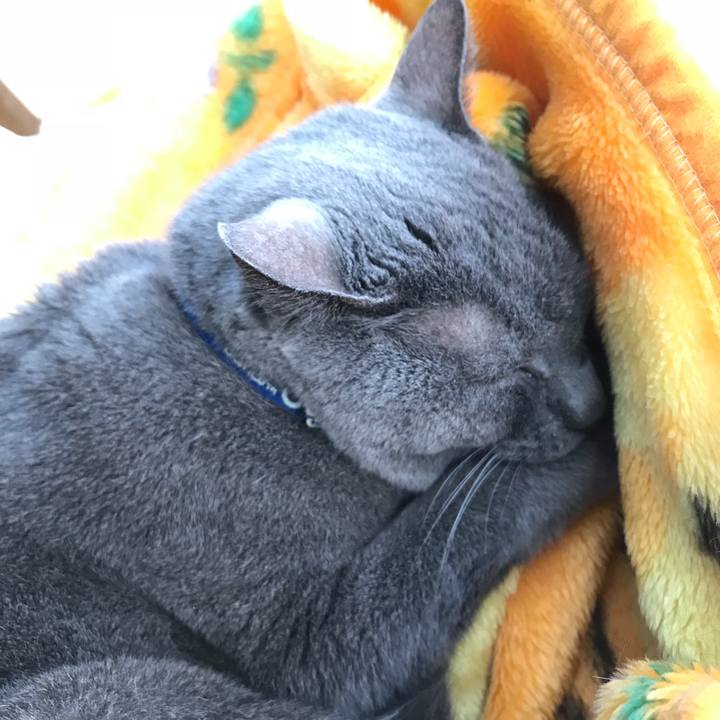 D3d1851e ac2e 407e 8a2e 91b2ed7be946 1515643874847