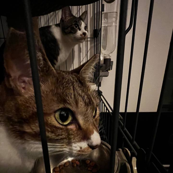 D3d18d70 cfdd 4e32 b0ba 3bc61ad6af49 1758454471368