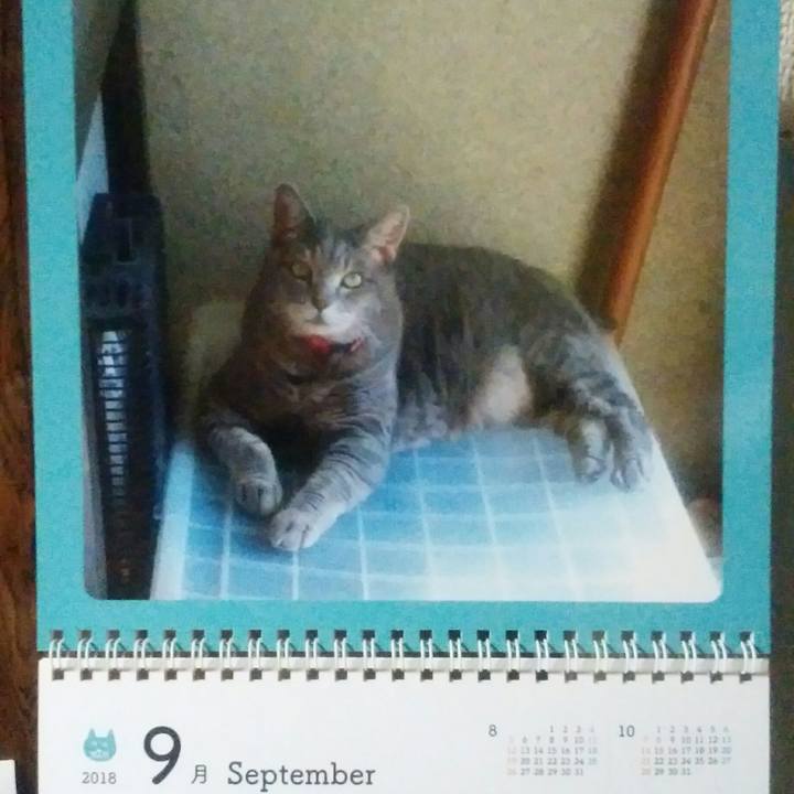 D3d1a240 c216 47b3 b03e 33d1a86e19e7 1535933586009