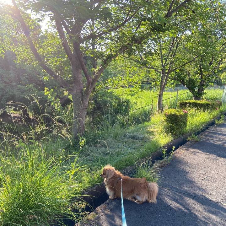 D3d1a2e3 f803 4a8a a87c dd1bd15c89fd 1590702073323