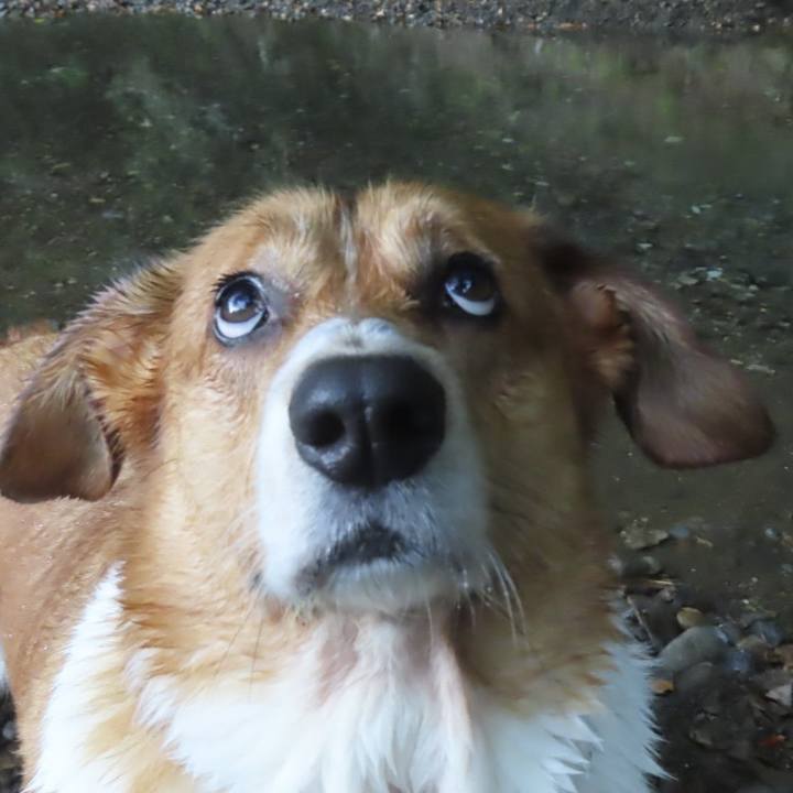 D3d1a4e6 af5d 48cd aa52 86c69726e025 1727490654128