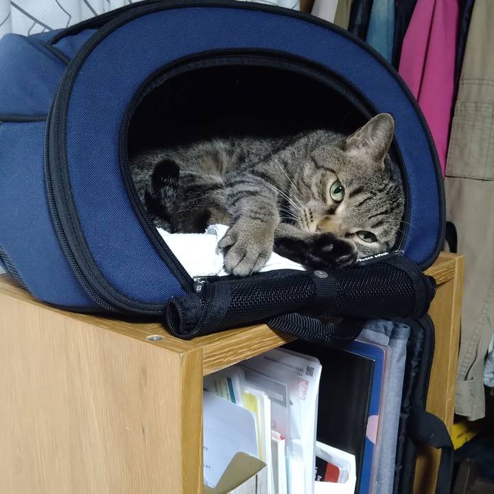 D3d1c097 bb56 4485 9ab7 e29d4d64a42d 1687511575074