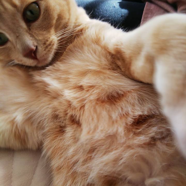 D3d1d08a 133a 4253 b57f 6ef5c67a8b88 1615609372611