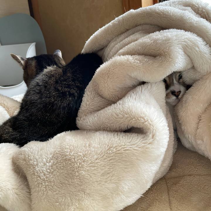 D3d1dab5 2573 4cdc 9357 091c68940cbd 1616723017192