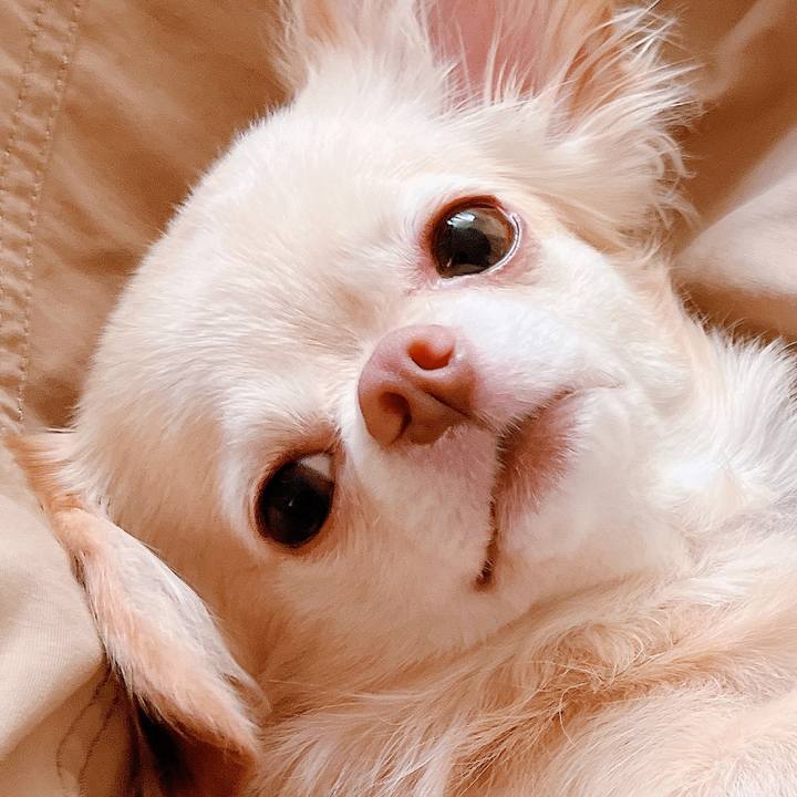 D3d1e5f4 85f5 4aba acc6 6808e321e131 1664939514603