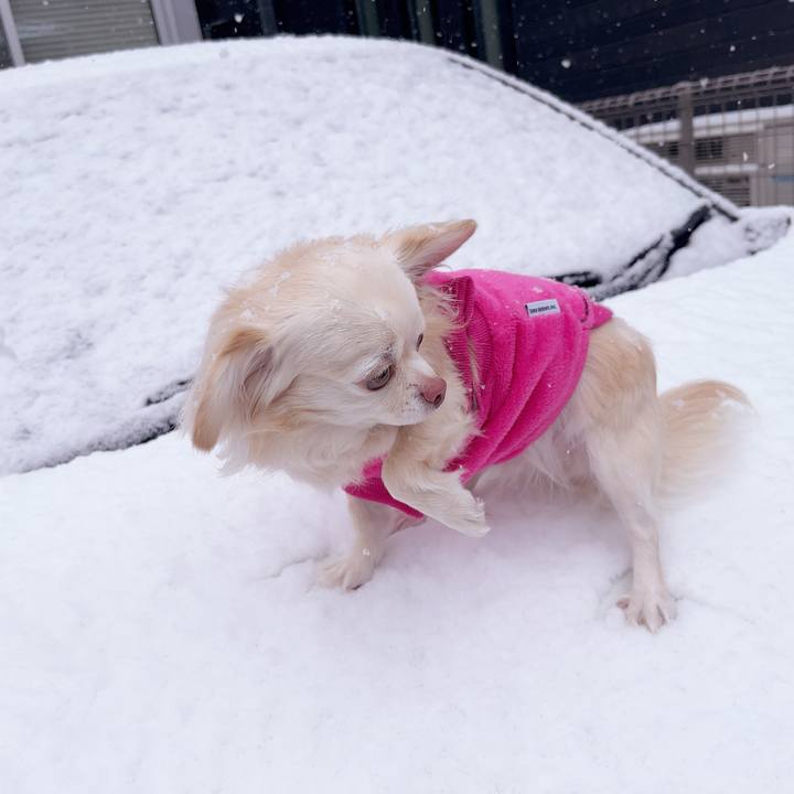 D3d1f1e3 d317 4bd4 b885 b32510405e14 1740987787912