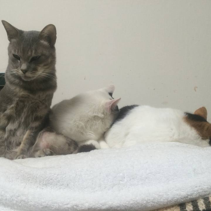 D3d225b2 b656 4fa8 ad89 8cd6c0c8ca3b 1542154249610