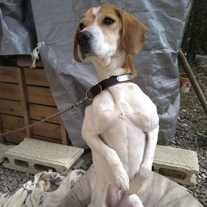 D3d22dc4 1a6b 4481 9b3e e23e5d0aec00 1645681830540