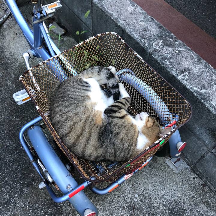 D3d23c4b 619a 4b6d 8201 5cf9ba37f4a9 1568318539276