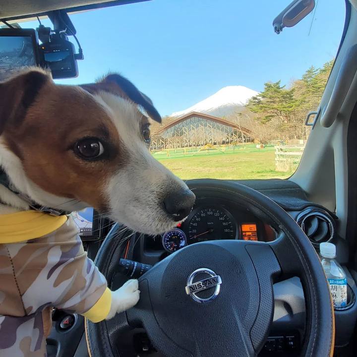 D3d262fe e6b8 4bfa ab2c c9dc9e64166d 1681184678081