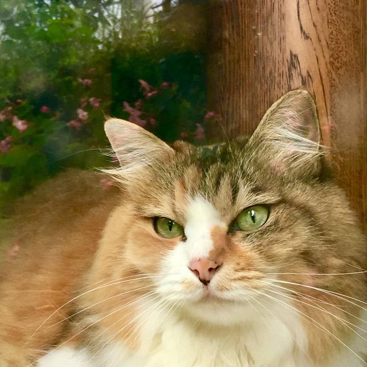 D3d27ba5 662f 4b6a b5a3 0eeeb87453ad 1569814485418