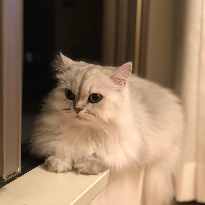 D3d27eab ee39 4734 ad4b 5ec91a1e643c 1538831550784