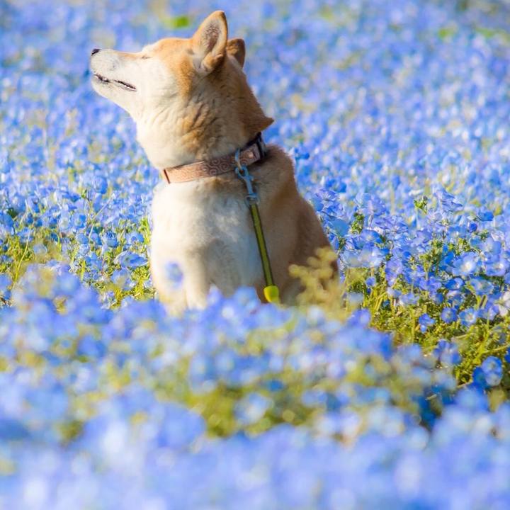 D3d2d63b 85bd 494d b24e 2a32fd77f268 1524356476473