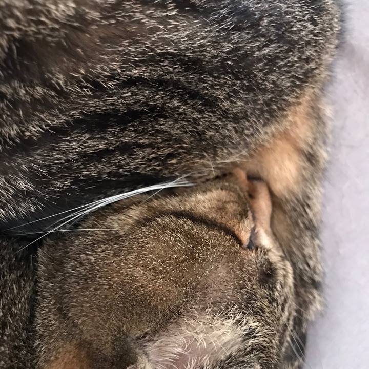 D3d314e5 c8ea 4de2 85ff 8c48f3f22576 1512264750874