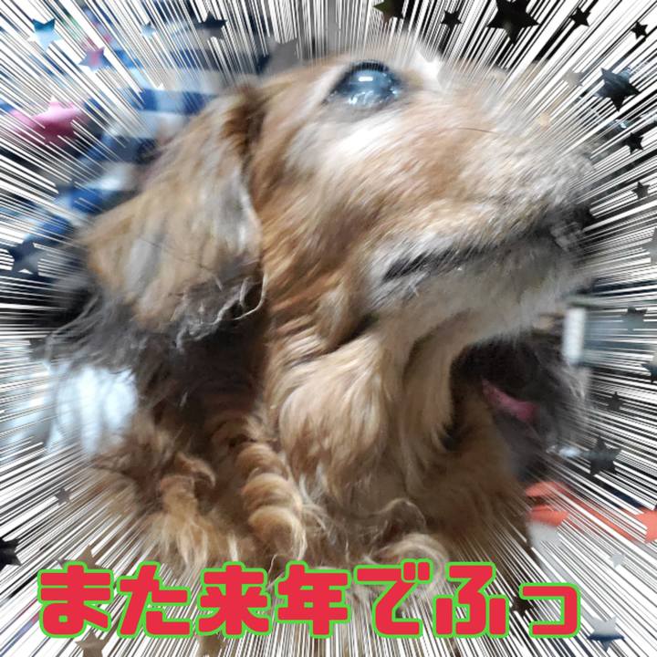 D3d31f8f 2c1c 4bda 960e 1abc01b41aca 1712575067467