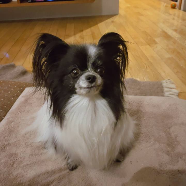 D3d3426f e143 4295 9aaa d5a18609900c 1574425313911