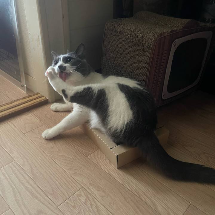 D3d353a6 acb7 431e 8e28 0c75e7faf91c 1751935351038