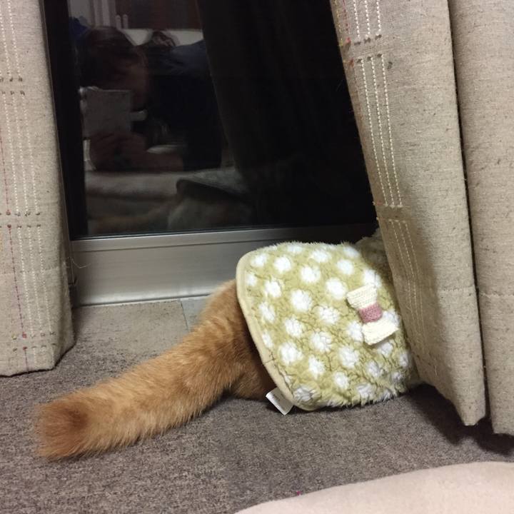 D3d35d21 1c36 4dba b37a a1f20d989136 1516192206237