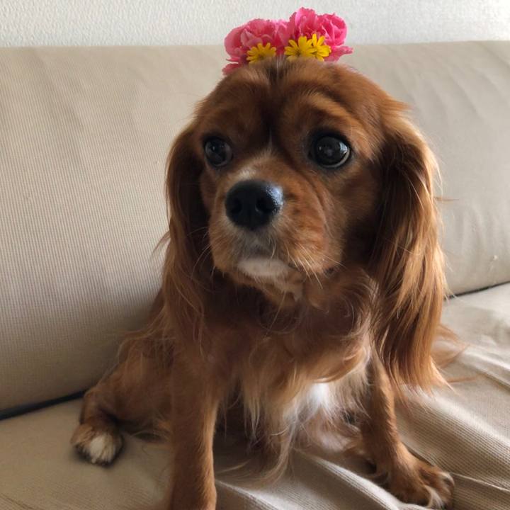 D3d35fe0 5f4b 4f37 aac5 dff7ea759ea7 1563156219369