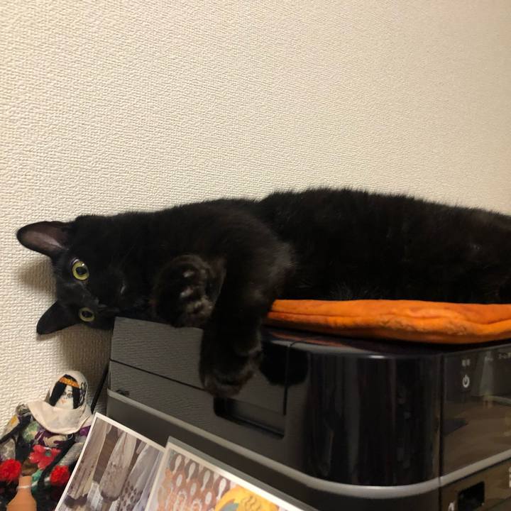 D3d361e5 8168 45ae 9e3f a22f0c5396e2 1562076742996